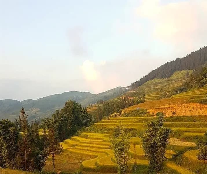 Day 3 — Hanoi to Sapa: Fansipan Cable Car