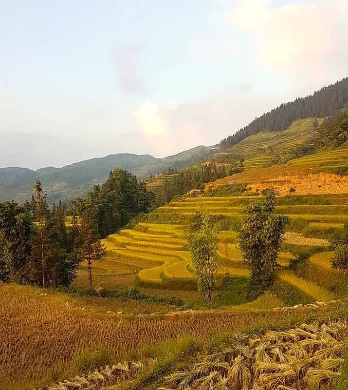 Day 4 — Sapa Trekking: Y Linh Ho & Ta Van