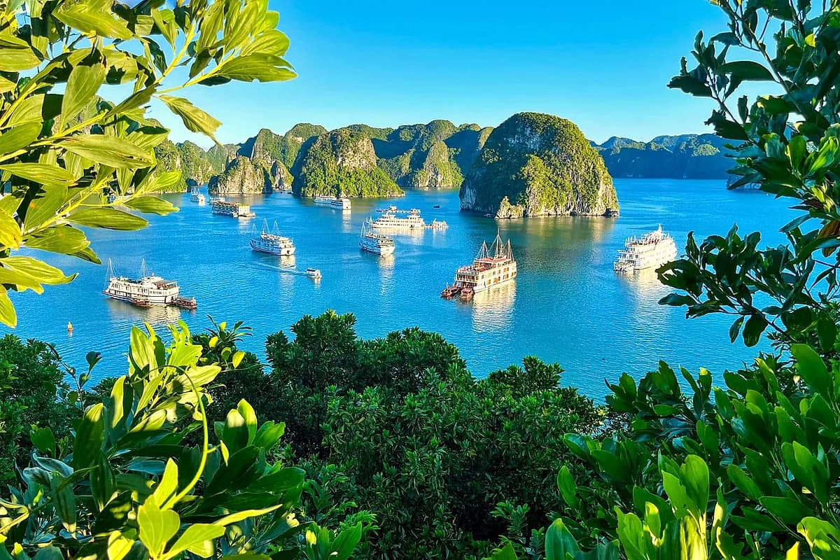 Lan Ha Bay: Morning Reveal & Disembarkation