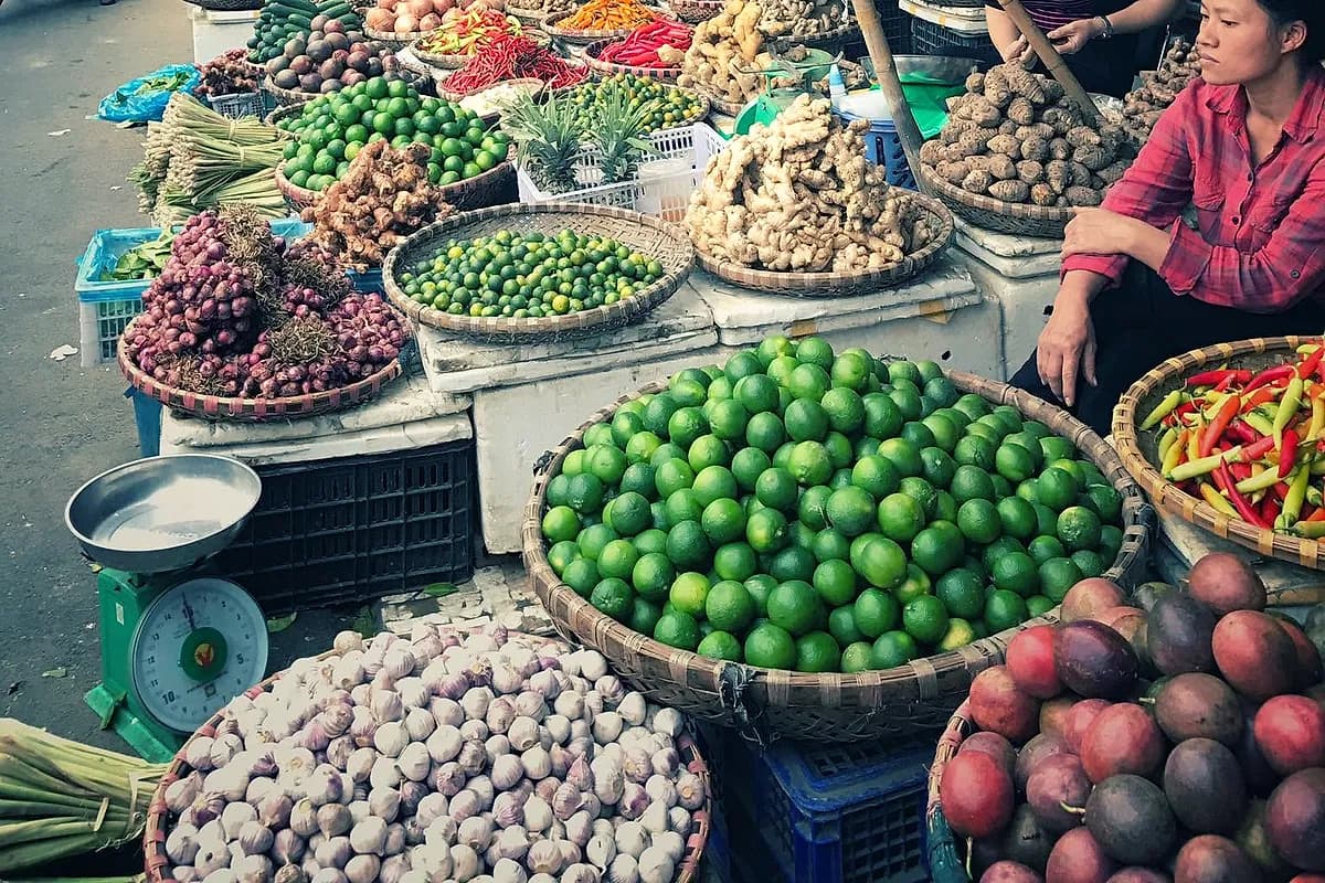 Free & Easy in Hanoi: Final Morning & Departure