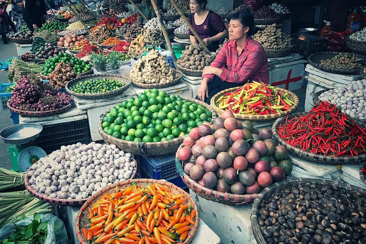 Hanoi — The Cooking Class, Farewell Lunch & Free Afternoon